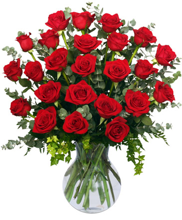 24 Radiant Roses Red Roses Arrangement in Conneaut, OH | MORRIS FLOWERS & GIFTS