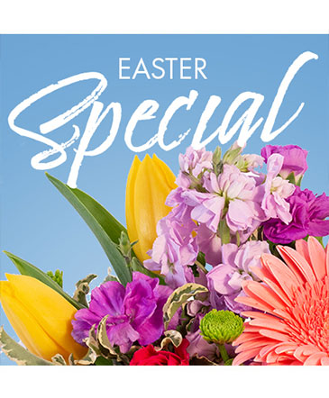 Easter Special Designer's Choice in Conneaut, OH | MORRIS FLOWERS & GIFTS