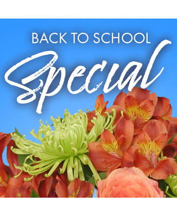 Back to School Special Designer's Choice in Conneaut, OH | MORRIS FLOWERS & GIFTS