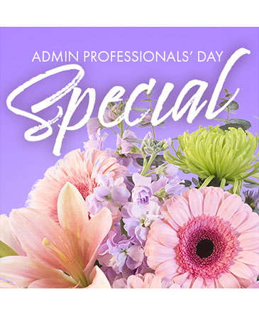 Beautiful Admin Special Designer's Choice in Conneaut, OH | MORRIS FLOWERS & GIFTS