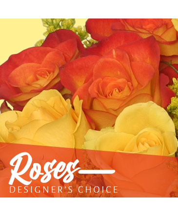 Beautiful Roses Designer's Choice in Conneaut, OH | MORRIS FLOWERS & GIFTS