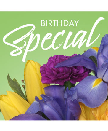 Birthday Special Designer's Choice in Conneaut, OH | MORRIS FLOWERS & GIFTS