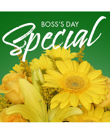 Boss's Day Special Designer's Choice in Conneaut, OH | MORRIS FLOWERS & GIFTS