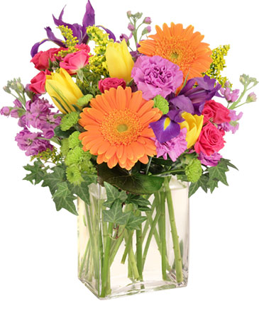 Celebrate Today! Bouquet in Conneaut, OH | MORRIS FLOWERS & GIFTS