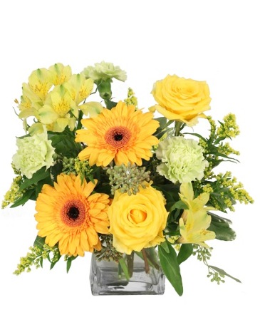 Citrus Symphony Floral Arrangement in Conneaut, OH | MORRIS FLOWERS & GIFTS