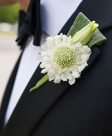 Dashing Boutonniere in Conneaut, OH | MORRIS FLOWERS & GIFTS