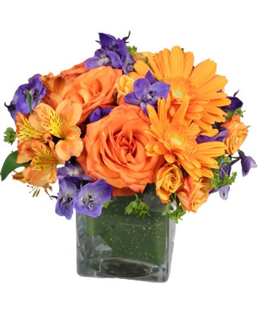 Enthusiasm Blossoms Bouquet in Conneaut, OH | MORRIS FLOWERS & GIFTS