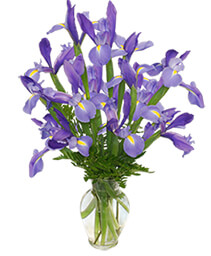 RAMO DE LIRIOS AZULES Arreglo Floral