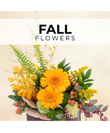 Fall Florist’s Pick Designer's Choice in Conneaut, OH | MORRIS FLOWERS & GIFTS
