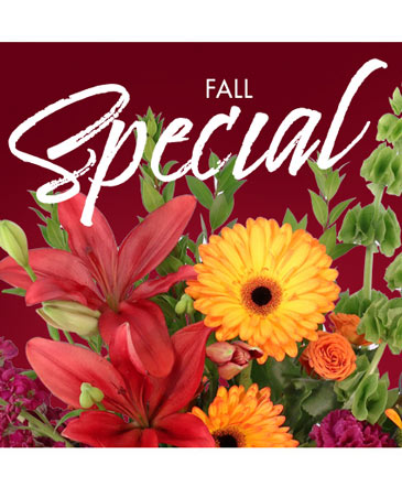 Fall Special Designer's Choice in Conneaut, OH | MORRIS FLOWERS & GIFTS