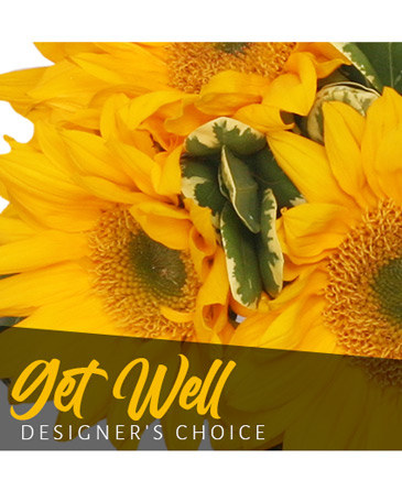 Get Well Bouquet Designer's Choice in Conneaut, OH | MORRIS FLOWERS & GIFTS
