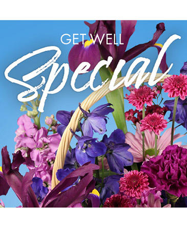 Get Well Special Florals Designer's Choice in Conneaut, OH | MORRIS FLOWERS & GIFTS