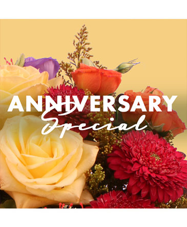 Gorgeous Anniversary Special Designer's Choice in Conneaut, OH | MORRIS FLOWERS & GIFTS