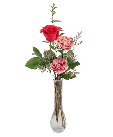 Hot Pink Dream Rose Arrangement in Conneaut, OH | MORRIS FLOWERS & GIFTS