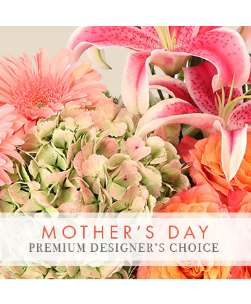 Mother's Day Bouquet Premium Designer's Choice in Conneaut, OH | MORRIS FLOWERS & GIFTS