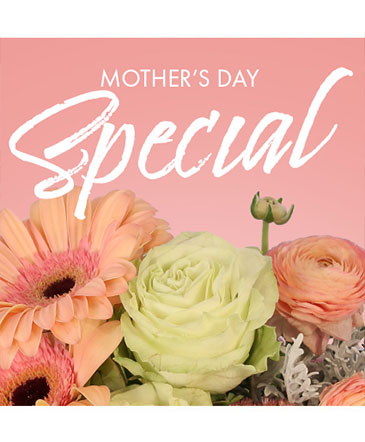 Mother's Day Special Designer's Choice in Conneaut, OH | MORRIS FLOWERS & GIFTS