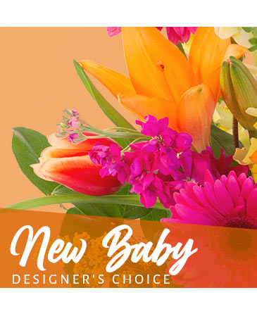 New Baby Bouquet Designer's Choice in Conneaut, OH | MORRIS FLOWERS & GIFTS