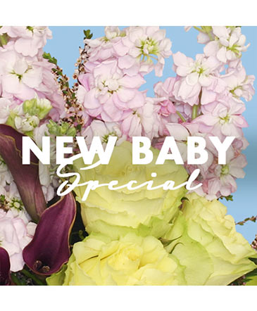 New Baby Special Designer's Choice in Conneaut, OH | MORRIS FLOWERS & GIFTS