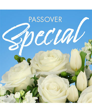 Passover Special Designer's Choice in Conneaut, OH | MORRIS FLOWERS & GIFTS