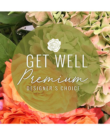 Premium Get Well Flowers Designer's Choice in Conneaut, OH | MORRIS FLOWERS & GIFTS