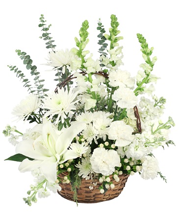 Quiet Nights Basket Arrangement in Conneaut, OH | MORRIS FLOWERS & GIFTS