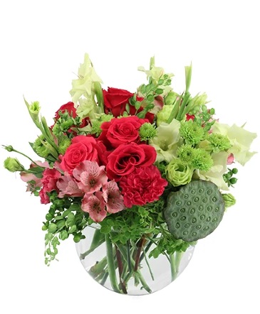 Rainbow Realness Floral Arrangement in Conneaut, OH | MORRIS FLOWERS & GIFTS