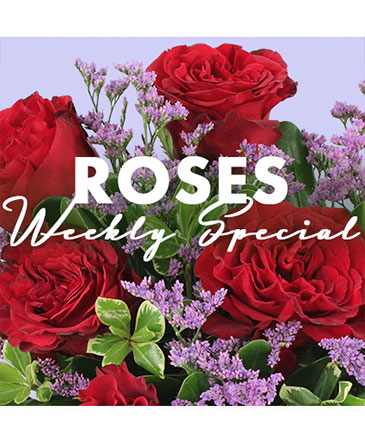 Rose Special Designer's Choice in Conneaut, OH | MORRIS FLOWERS & GIFTS