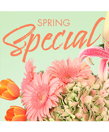 Special of Spring Florals Designer's Choice in Conneaut, OH | MORRIS FLOWERS & GIFTS