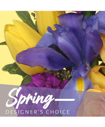 Spring Designer's Choice in Conneaut, OH | MORRIS FLOWERS & GIFTS