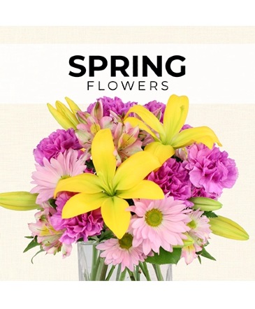 Spring Florist’s Pick Designer's Choice in Conneaut, OH | MORRIS FLOWERS & GIFTS
