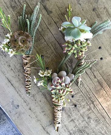 Succulent Serenity Boutonniere in Conneaut, OH | MORRIS FLOWERS & GIFTS