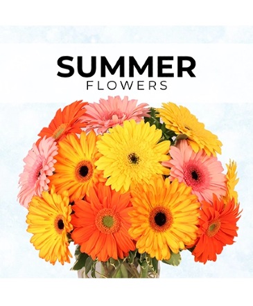 Summer Florist’s Pick Designer's Choice in Conneaut, OH | MORRIS FLOWERS & GIFTS