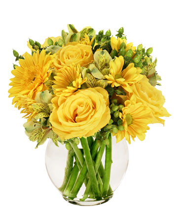 Sunshine Perfection Floral Arrangement in Conneaut, OH | MORRIS FLOWERS & GIFTS