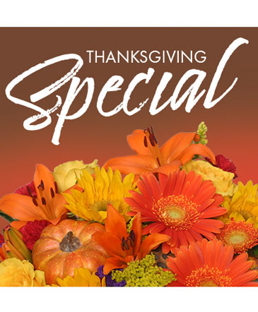 Thanksgiving Special Designer's Choice in Conneaut, OH | MORRIS FLOWERS & GIFTS