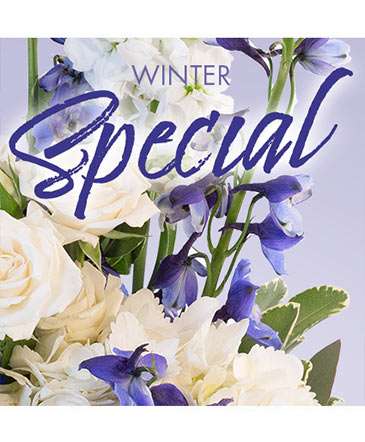 Winter Favorite Designer's Choice in Conneaut, OH | MORRIS FLOWERS & GIFTS
