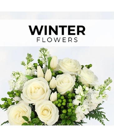 Winter Florist’s Pick Designer's Choice in Conneaut, OH | MORRIS FLOWERS & GIFTS