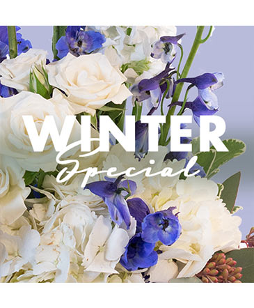 Winter Special Designer's Choice in Conneaut, OH | MORRIS FLOWERS & GIFTS
